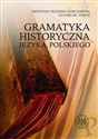 Gramatyka historyczna języka polskiego to buy in USA