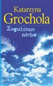 Zagubione niebo Polish bookstore