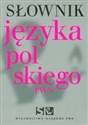Słownik języka polskiego PWN Bookshop