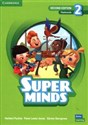 Super Minds 2 Flashcards British English - Herbert Puchta, Peter Lewis-Jones, Gunter Gerngross