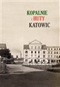 Kopalnie i huty  Katowic 