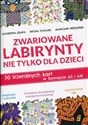 Zwariowane labirynty nie tylko dla dzieci 50 ścieralnych kart w formacie A3 i A4! - Polish Bookstore USA
