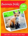 Zwierzęta Polski książeczka z plakatem i 100 naklejek in polish