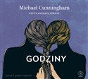 [Audiobook] Godziny - Michael Cunningham