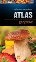 Natura Atlas grzybów - Wiesław Kamiński