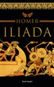 Iliada (wydanie pocketowe)  - Polish Bookstore USA