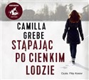 [Audiobook] Stąpając po cienkim lodzie - Camilla Grebe