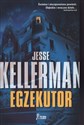 Egzekutor - Jesse Kellerman